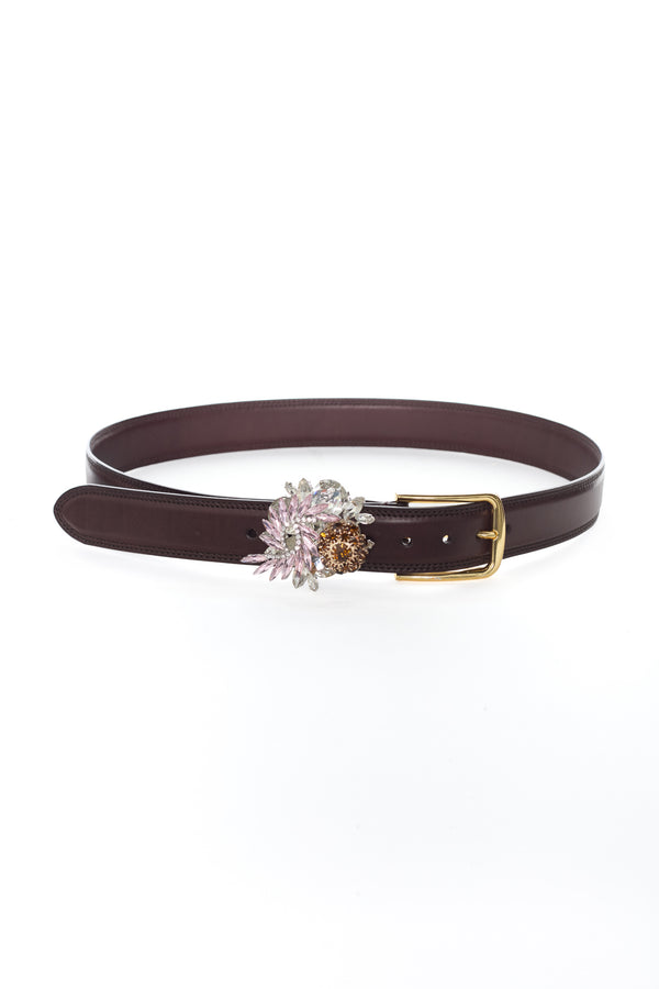 BROOCH BELT in brown